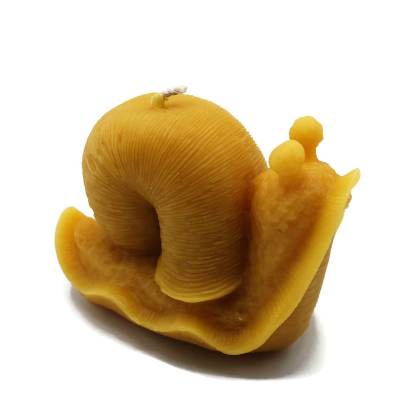 Beeswax Candle Snail Mollusk Shaped Candle - Image 4