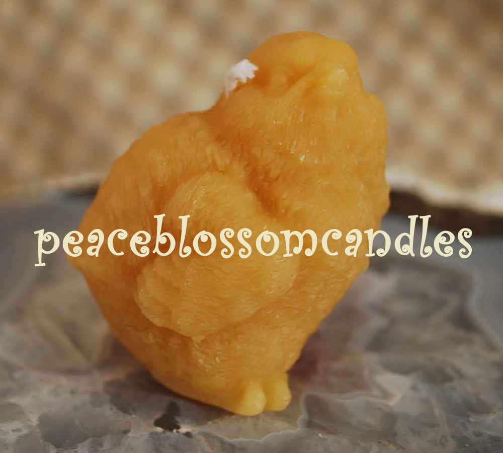 Beeswax Chick Candle