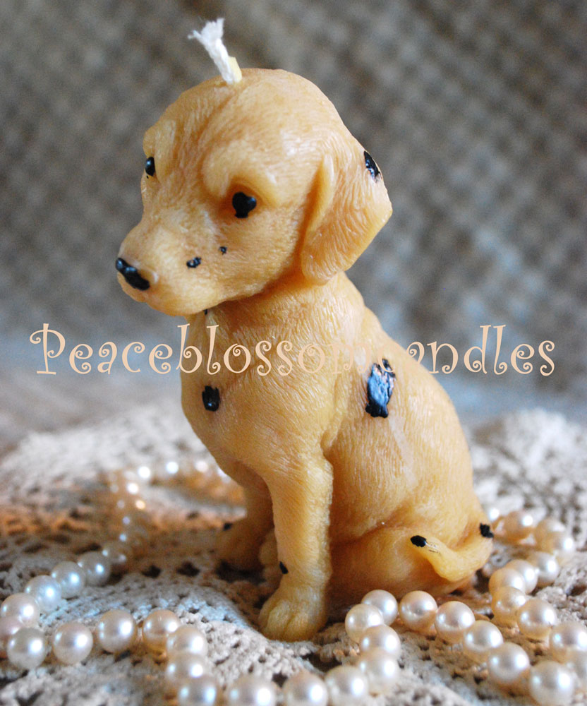 Beeswax Dalmation Candle