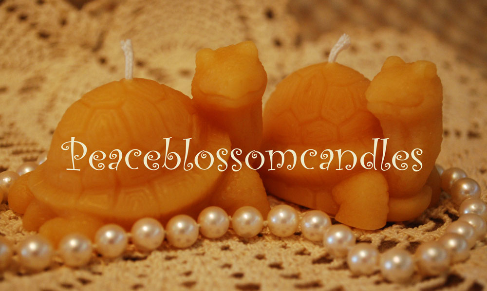 Pure Beeswax Tiny Turtle Candle set of 2 - Image 2