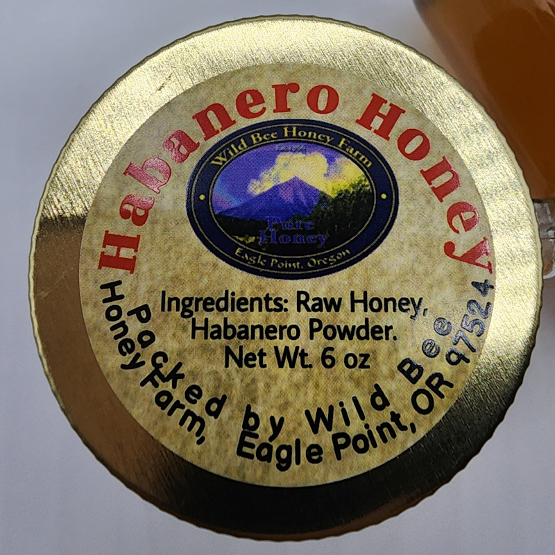 Habanero Honey in an Adorable Glass Mason Jar - Image 3