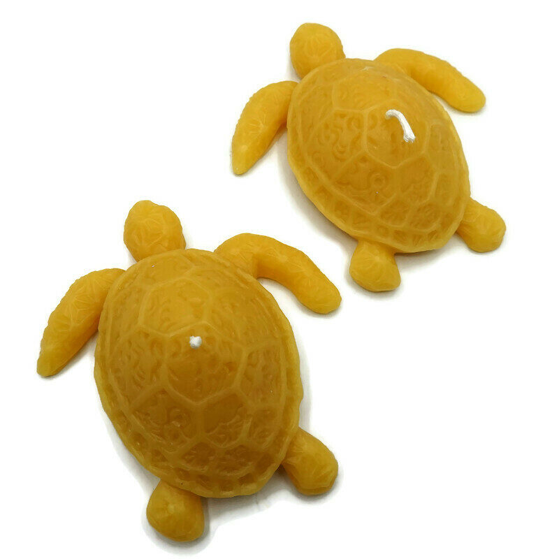 Sea Turtles - Copy