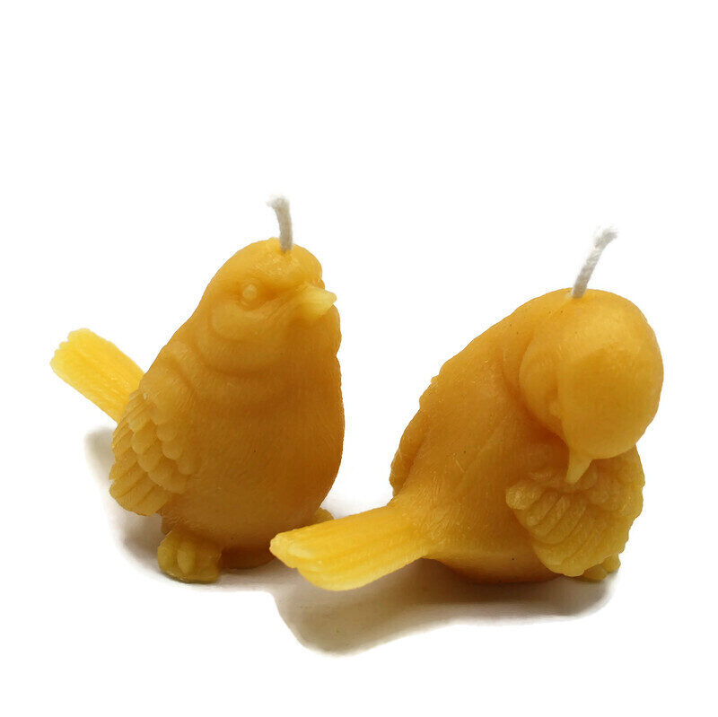 Song Birds Nat - Copy