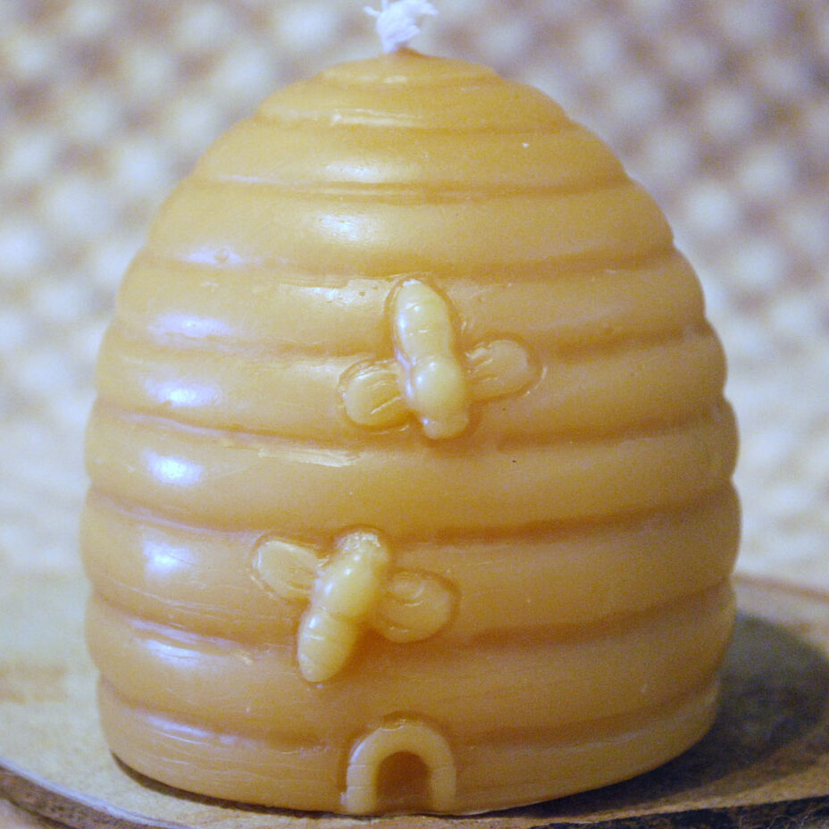 buzzingbeeskepforweb