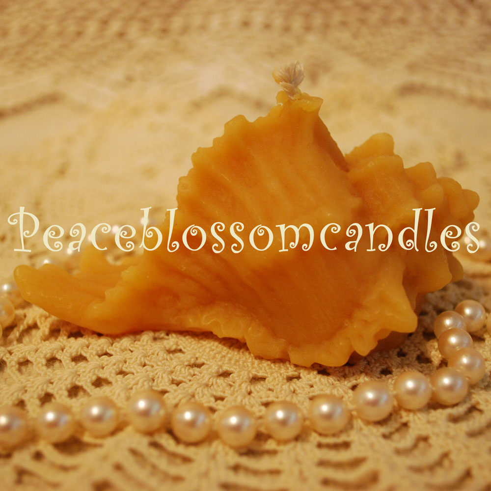 Beeswax Shell Candle