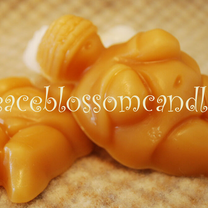 Venus beeswax Cakes